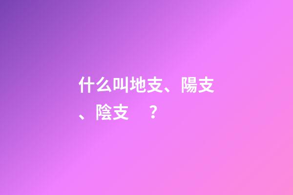 什么叫地支、陽支、陰支？